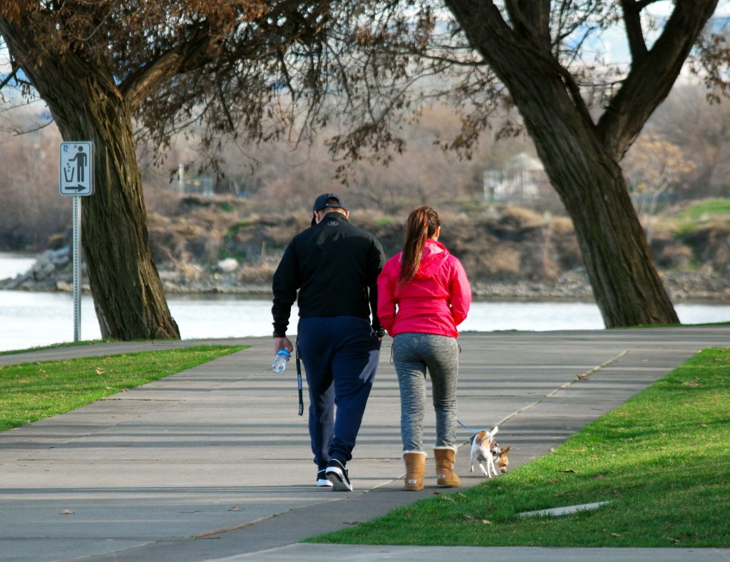 dog exercise walk