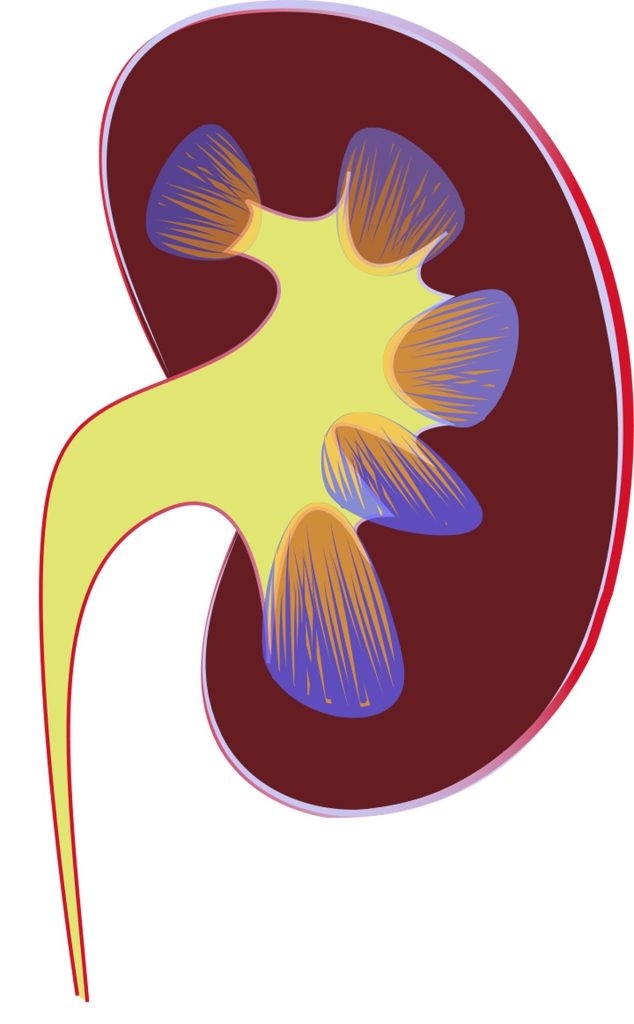 kidney disease